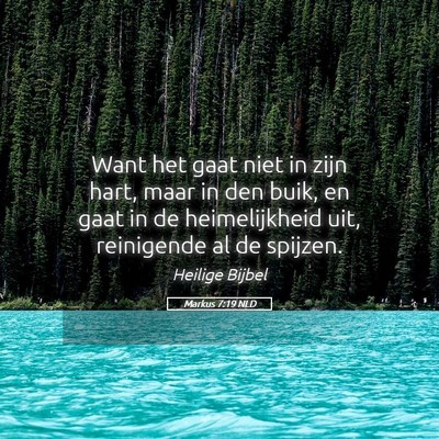 Picture 05 - Markus 7:19 NLD - Want het gaat niet in zijn hart, maar in den - Bible Verse Picture