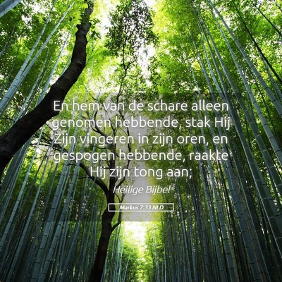 Picture 05 - Markus 7:33 NLD - En hem van de schare alleen genomen hebbende, - Bible Verse Picture