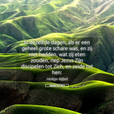 Picture 05 - Markus 8:1 NLD - In dezelfde dagen, als er een geheel grote schare - Bible Verse Picture