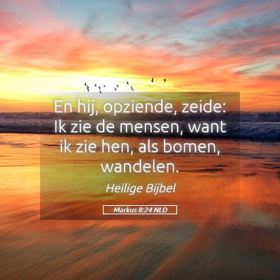 Picture 05 - Markus 8:24 NLD - En hij, opziende, zeide: Ik zie de mensen, want - Bible Verse Picture