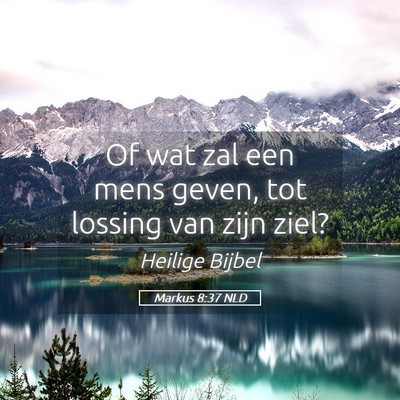 Picture 05 - Markus 8:37 NLD - Of wat zal een mens geven, tot lossing van zijn - Bible Verse Picture