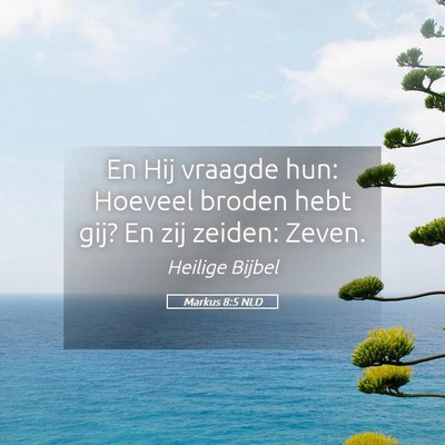 Picture 05 - Markus 8:5 NLD - En Hij vraagde hun: Hoeveel broden hebt gij? En - Bible Verse Picture