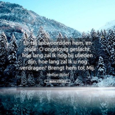 Picture 05 - Markus 9:19 NLD - En Hij antwoordden hem, en zeide: O ongelovig - Bible Verse Picture
