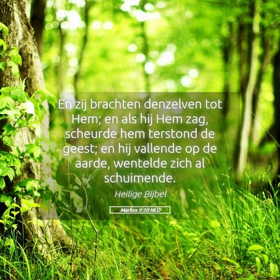 Picture 05 - Markus 9:20 NLD - En zij brachten denzelven tot Hem; en als hij Hem - Bible Verse Picture