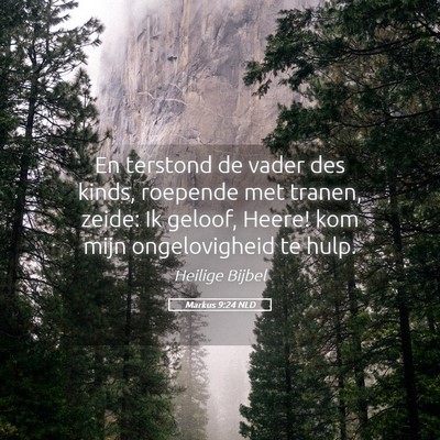 Picture 05 - Markus 9:24 NLD - En terstond de vader des kinds, roepende met - Bible Verse Picture