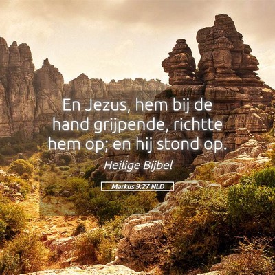 Picture 05 - Markus 9:27 NLD - En Jezus, hem bij de hand grijpende, richtte hem - Bible Verse Picture