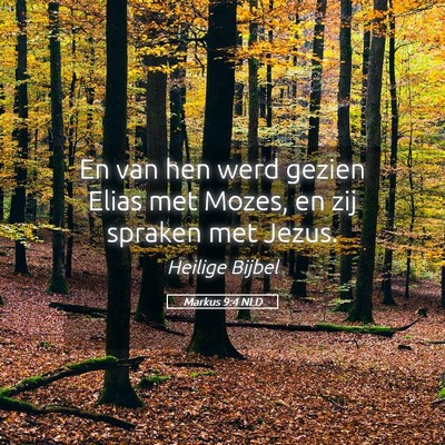 Picture 05 - Markus 9:4 NLD - En van hen werd gezien Elias met Mozes, en zij - Bible Verse Picture