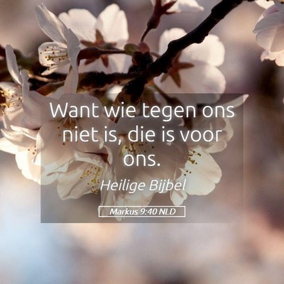 Picture 05 - Markus 9:40 NLD - Want wie tegen ons niet is, die is voor - Bible Verse Picture