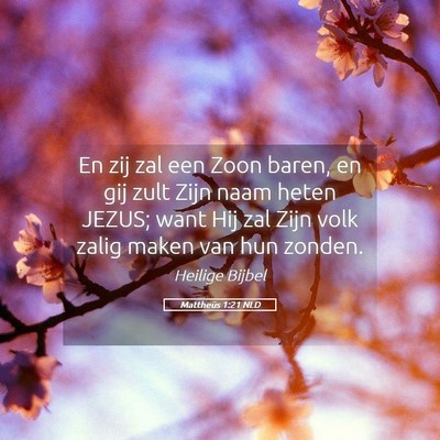 Picture 05 - Mattheüs 1:21 NLD - En zij zal een Zoon baren, en gij zult Zijn naam - Bible Verse Picture