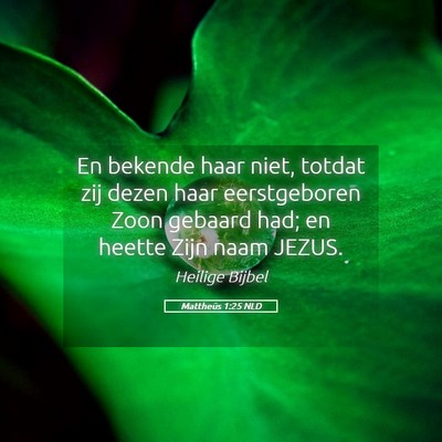 Picture 05 - Mattheüs 1:25 NLD - En bekende haar niet, totdat zij dezen haar - Bible Verse Picture