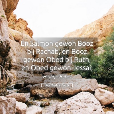 Picture 05 - Mattheüs 1:5 NLD - En Salmon gewon Booz bij Rachab, en Booz gewon - Bible Verse Picture