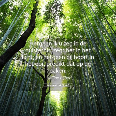 Picture 05 - Mattheüs 10:27 NLD - Hetgeen Ik u zeg in de duisternis, zegt het in - Bible Verse Picture