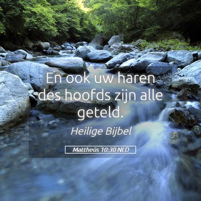 Picture 05 - Mattheüs 10:30 NLD - En ook uw haren des hoofds zijn alle - Bible Verse Picture