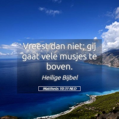 Picture 05 - Mattheüs 10:31 NLD - Vreest dan niet; gij gaat vele musjes te - Bible Verse Picture