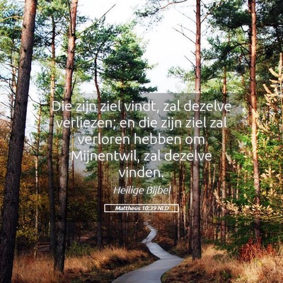 Picture 05 - Mattheüs 10:39 NLD - Die zijn ziel vindt, zal dezelve verliezen; en - Bible Verse Picture