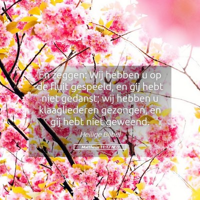 Picture 05 - Mattheüs 11:17 NLD - En zeggen: Wij hebben u op de fluit gespeeld, en - Bible Verse Picture