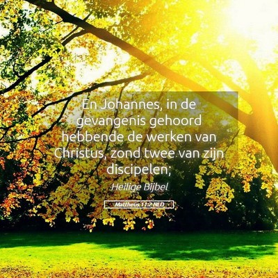 Picture 05 - Mattheüs 11:2 NLD - En Johannes, in de gevangenis gehoord hebbende de - Bible Verse Picture