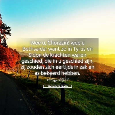 Picture 05 - Mattheüs 11:21 NLD - Wee u, Chorazin! wee u Bethsaida! want zo in - Bible Verse Picture