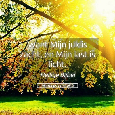 Picture 05 - Mattheüs 11:30 NLD - Want Mijn juk is zacht, en Mijn last is - Bible Verse Picture