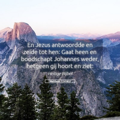 Picture 05 - Mattheüs 11:4 NLD - En Jezus antwoordde en zeide tot hen: Gaat heen - Bible Verse Picture