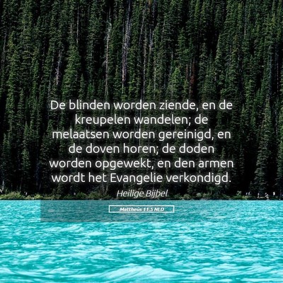 Picture 05 - Mattheüs 11:5 NLD - De blinden worden ziende, en de kreupelen - Bible Verse Picture