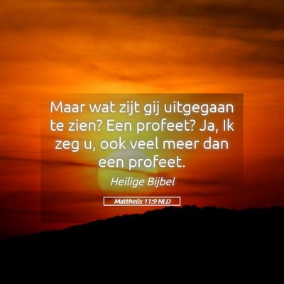 Picture 05 - Mattheüs 11:9 NLD - Maar wat zijt gij uitgegaan te zien? Een profeet? - Bible Verse Picture