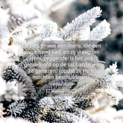 Picture 05 - Mattheüs 12:10 NLD - En ziet, er was een mens, die een dorre hand had, - Bible Verse Picture