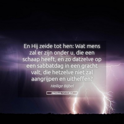 Picture 05 - Mattheüs 12:11 NLD - En Hij zeide tot hen: Wat mens zal er zijn onder - Bible Verse Picture
