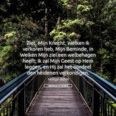 Picture 05 - Mattheüs 12:18 NLD - Ziet, Mijn Knecht, Welken Ik verkoren heb, Mijn - Bible Verse Picture