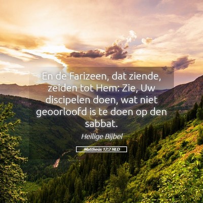 Picture 05 - Mattheüs 12:2 NLD - En de Farizeen, dat ziende, zeiden tot Hem: Zie, - Bible Verse Picture