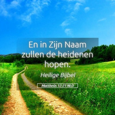 Picture 05 - Mattheüs 12:21 NLD - En in Zijn Naam zullen de heidenen - Bible Verse Picture