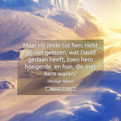Picture 05 - Mattheüs 12:3 NLD - Maar Hij zeide tot hen: Hebt gij niet gelezen, - Bible Verse Picture