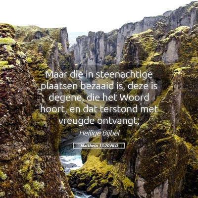 Picture 05 - Mattheüs 13:20 NLD - Maar die in steenachtige plaatsen bezaaid is, - Bible Verse Picture