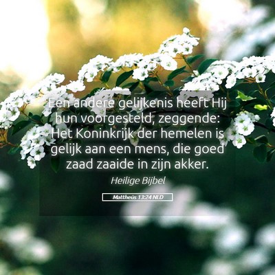Picture 05 - Mattheüs 13:24 NLD - Een andere gelijkenis heeft Hij hun voorgesteld, - Bible Verse Picture