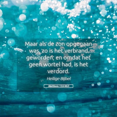Picture 05 - Mattheüs 13:6 NLD - Maar als de zon opgegaan was, zo is het verbrand - Bible Verse Picture