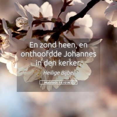 Picture 05 - Mattheüs 14:10 NLD - En zond heen, en onthoofdde Johannes in den - Bible Verse Picture