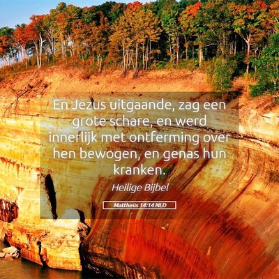 Picture 05 - Mattheüs 14:14 NLD - En Jezus uitgaande, zag een grote schare, en werd - Bible Verse Picture