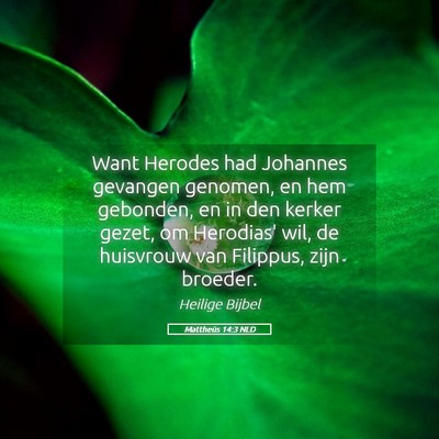 Picture 05 - Mattheüs 14:3 NLD - Want Herodes had Johannes gevangen genomen, en - Bible Verse Picture