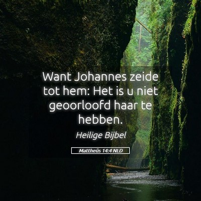 Picture 05 - Mattheüs 14:4 NLD - Want Johannes zeide tot hem: Het is u niet - Bible Verse Picture