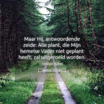 Picture 05 - Mattheüs 15:13 NLD - Maar Hij, antwoordende zeide: Alle plant, die - Bible Verse Picture