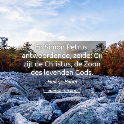 Picture 05 - Mattheüs 16:16 NLD - En Simon Petrus, antwoordende, zeide: Gij zijt de - Bible Verse Picture