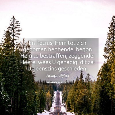 Picture 05 - Mattheüs 16:22 NLD - En Petrus, Hem tot zich genomen hebbende, begon - Bible Verse Picture