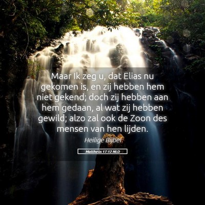 Picture 05 - Mattheüs 17:12 NLD - Maar Ik zeg u, dat Elias nu gekomen is, en zij - Bible Verse Picture