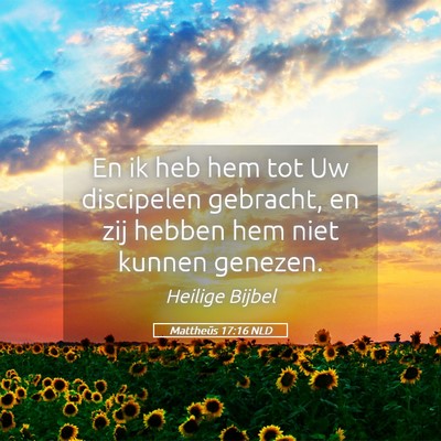 Picture 05 - Mattheüs 17:16 NLD - En ik heb hem tot Uw discipelen gebracht, en zij - Bible Verse Picture