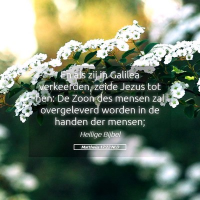 Picture 05 - Mattheüs 17:22 NLD - En als zij in Galilea verkeerden, zeide Jezus tot - Bible Verse Picture