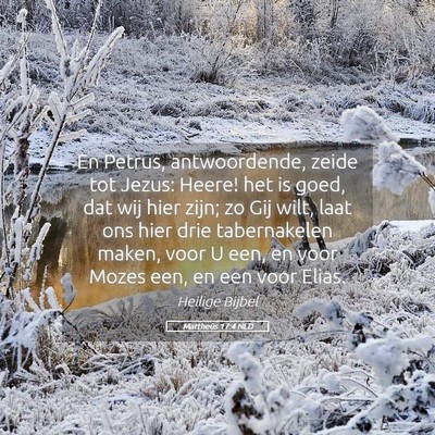 Picture 05 - Mattheüs 17:4 NLD - En Petrus, antwoordende, zeide tot Jezus: Heere! - Bible Verse Picture
