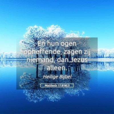 Picture 05 - Mattheüs 17:8 NLD - En hun ogen opheffende, zagen zij niemand, dan - Bible Verse Picture