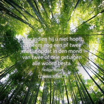 Picture 05 - Mattheüs 18:16 NLD - Maar indien hij u niet hoort, zo neem nog een of - Bible Verse Picture