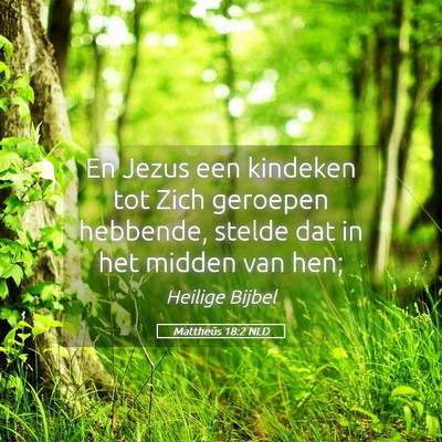 Picture 05 - Mattheüs 18:2 NLD - En Jezus een kindeken tot Zich geroepen hebbende, - Bible Verse Picture