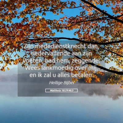 Picture 05 - Mattheüs 18:29 NLD - Zijn mededienstknecht dan, nedervallende aan zijn - Bible Verse Picture